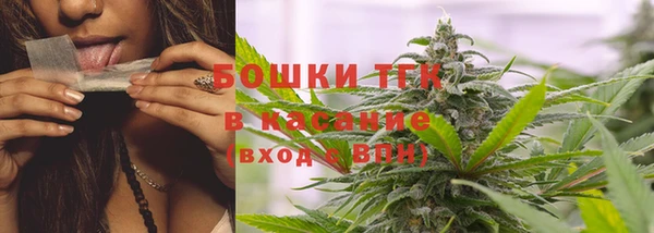ГАЛЛЮЦИНОГЕННЫЕ ГРИБЫ Аркадак