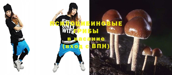 ГАЛЛЮЦИНОГЕННЫЕ ГРИБЫ Аркадак