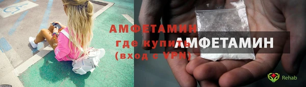 ГАЛЛЮЦИНОГЕННЫЕ ГРИБЫ Аркадак