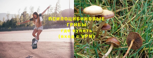 spice Арсеньев