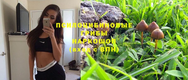 ГАЛЛЮЦИНОГЕННЫЕ ГРИБЫ Аркадак