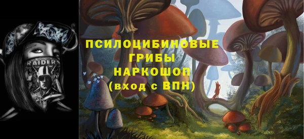spice Арсеньев